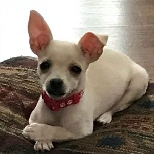 Meet your Posher, Sara